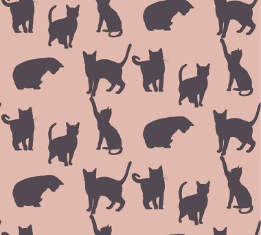 Kedinin kusursuz silueti.