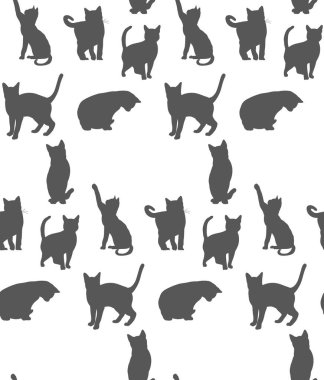 Kusursuz bir arka plan, kedi silueti.