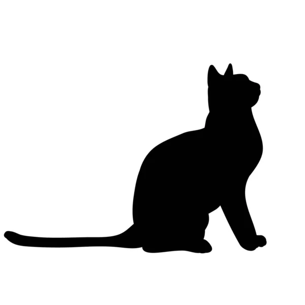 Silhouette Isolée Chat Assis — Image vectorielle