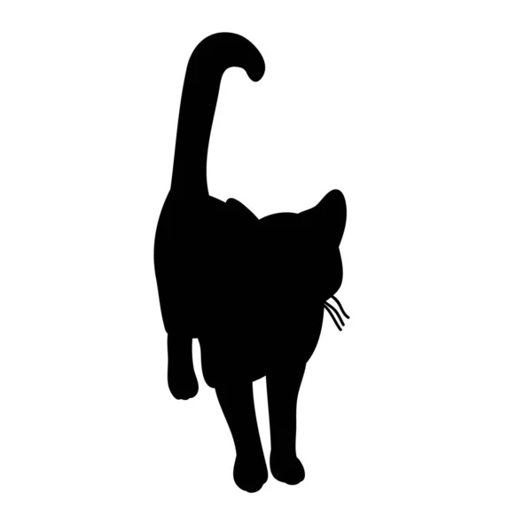 Silhouette Isolée Chat — Image vectorielle