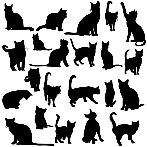 猫群的轮廓 — 图库矢量图片