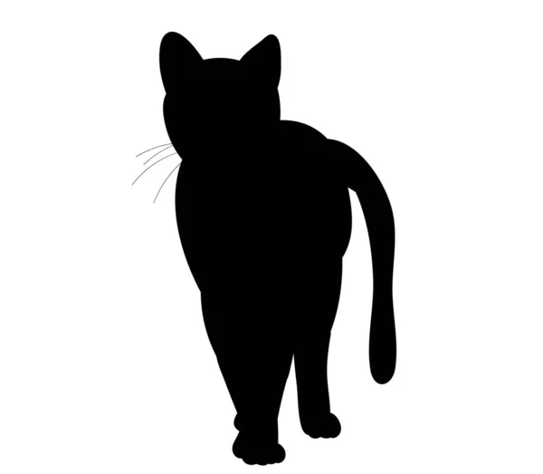 Izolovaná Černá Silueta Kočky Stojí — Stockový vektor