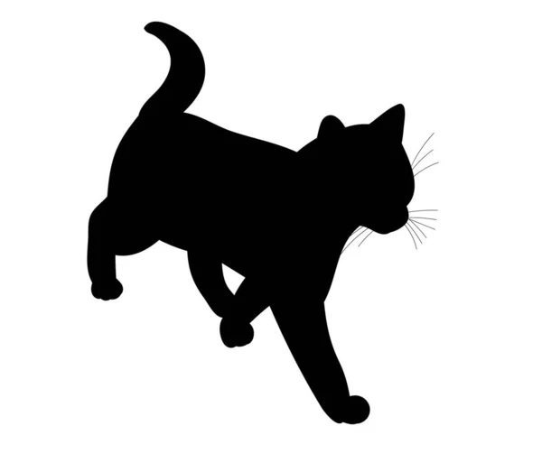 Die Schwarze Silhouette Einer Katze Kommt — Stockvektor