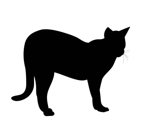 Vecteur Isolé Silhouette Noire Chat Est Debout — Image vectorielle