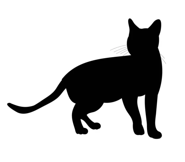 Vecteur Isolé Silhouette Noire Chat Est Debout — Image vectorielle