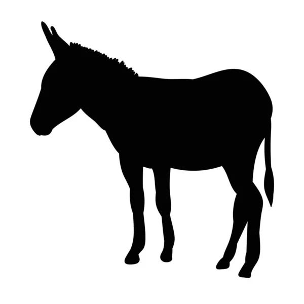 Silueta Burro — Archivo Imágenes Vectoriales