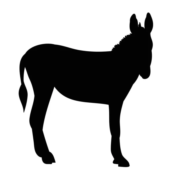 孤立的驴的黑色轮廓 值多少钱 — 图库矢量图片