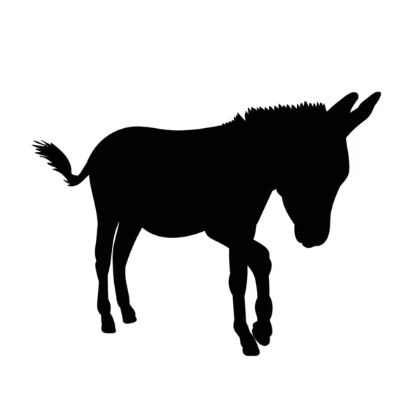 一头独立的驴的黑色轮廓 — 图库矢量图片