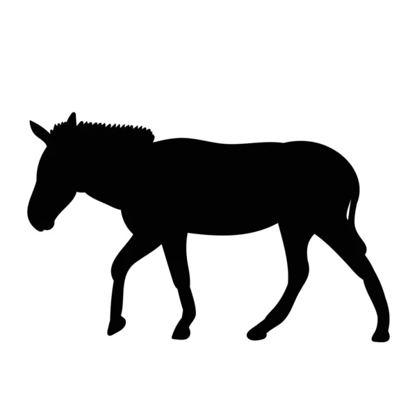 孤立的驴黑色轮廓 — 图库矢量图片