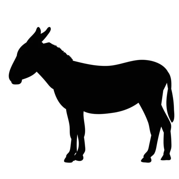 Black Silhouette Donkey — Stock Vector