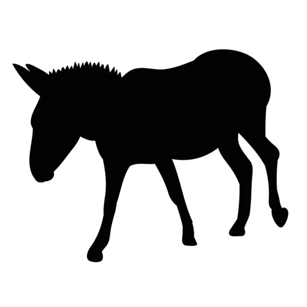 Silueta Negra Aislada Burro — Archivo Imágenes Vectoriales