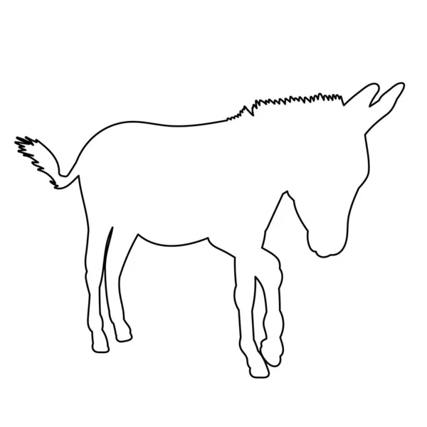 Contorno Burros Boceto — Vector de stock