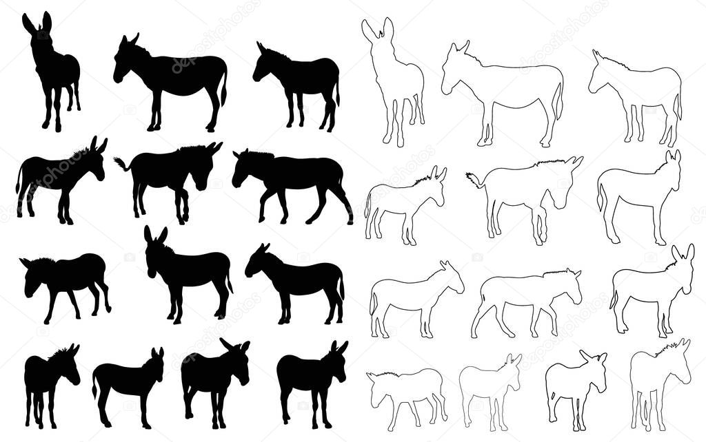 Isolated, set of donkey silhouettes