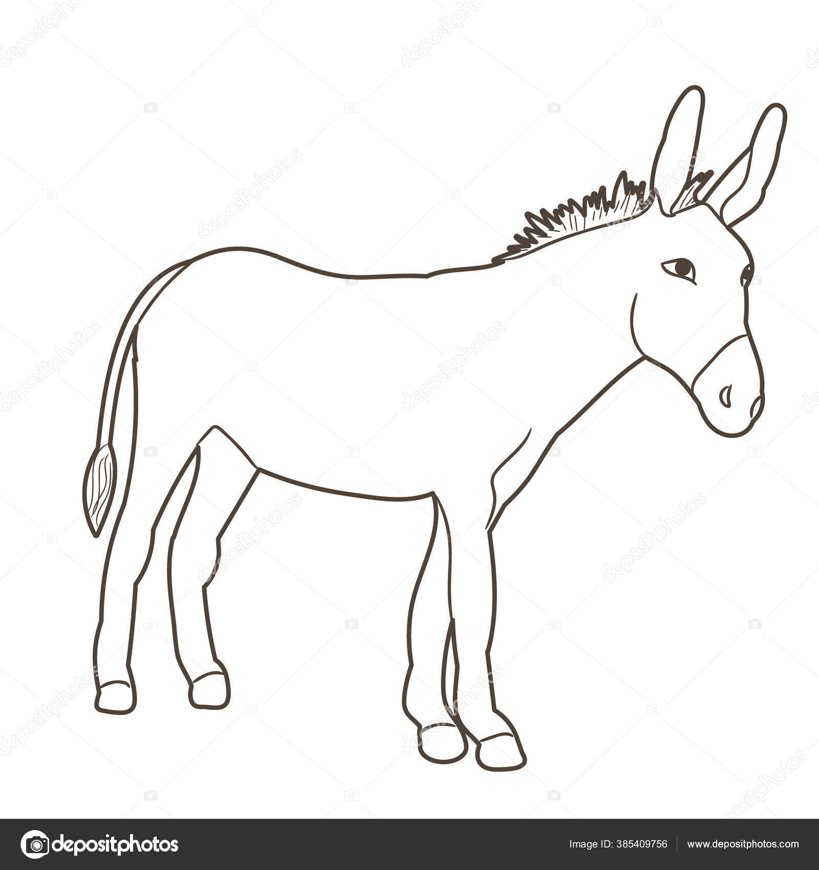 Jumentinho desenho