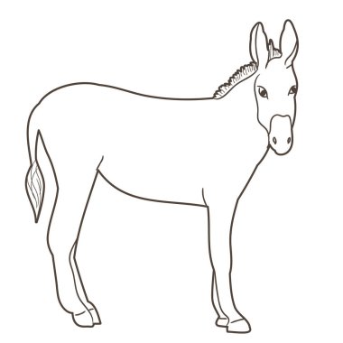  Bir eşeğin eşkalini izole ettim.