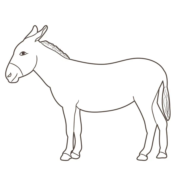 Burro Bosquejo Solo Vector — Vector de stock