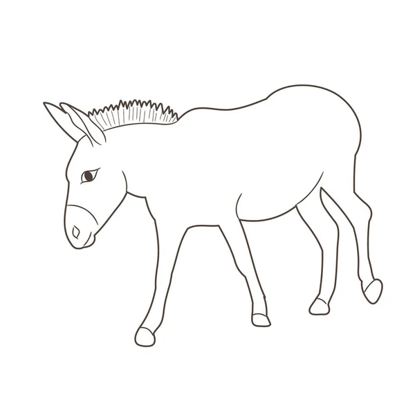 Boceto Burro Aislado Solo — Archivo Imágenes Vectoriales