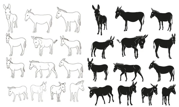 Isolated Silhouette Donkey Set — Stock Vector