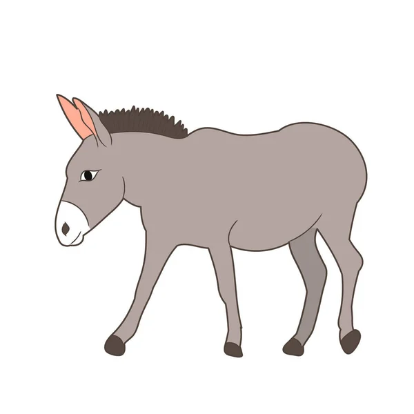 Vector Isolated Donkey Gray Goes — Stock Vector