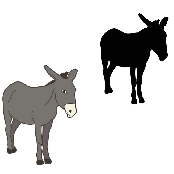 Silueta Burro Sobre Fondo Blanco — Archivo Imágenes Vectoriales