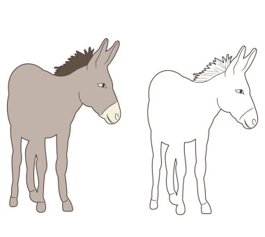 vektör izole eşek çizimi