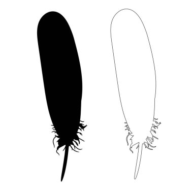  İzole edilmiş kuş tüyü silueti, ana hatları