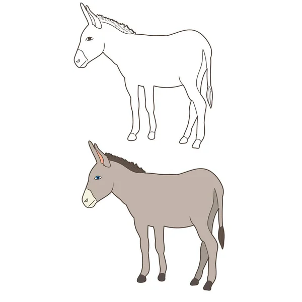 Donkey Mule Outline Vector — Stock Vector