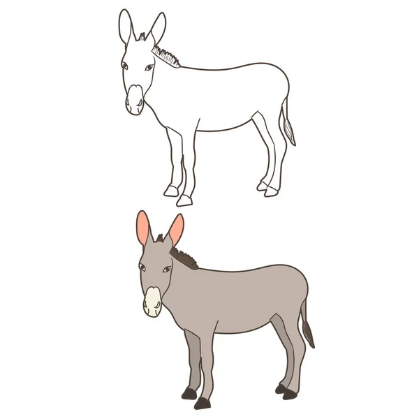 Isolated Donkey Donkey Worth — Stock Vector