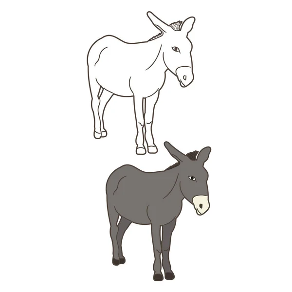 Isolated Donkey Drawing Vector — Stock Vector