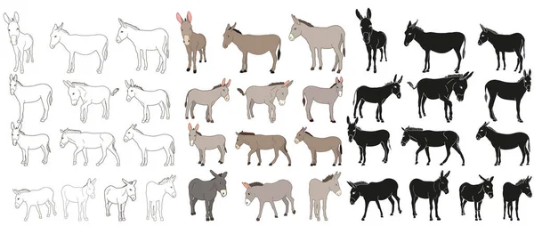 Vector Isolated Donkey Mule Outline Collection Silhouettes — Stock Vector