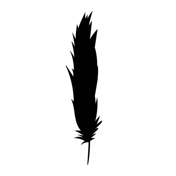 孤立的羽毛的黑色轮廓 — 图库矢量图片