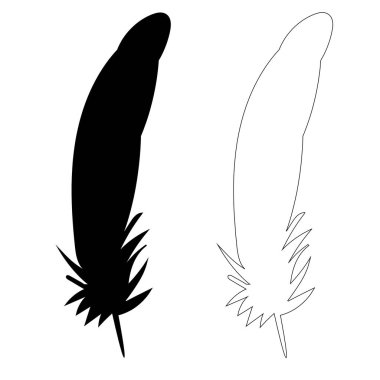 vektör, izole edilmiş kuş tüyü silueti, özet