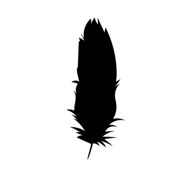 羽毛的孤立的轮廓 — 图库矢量图片