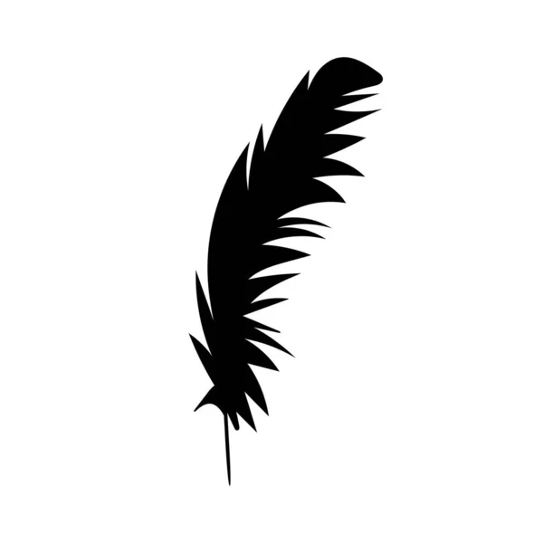 Vecteur Silhouette Noire Isolée Plumes Oiseaux Une — Image vectorielle