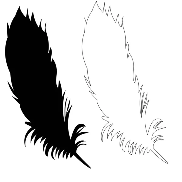 Silueta Pluma Pájaro Contorno — Vector de stock