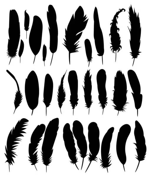 Ensemble Plumes Oiseaux Vecteur — Image vectorielle