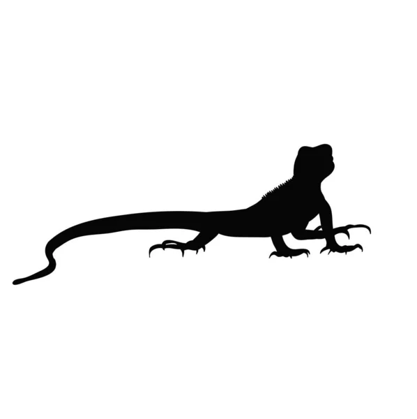 Silueta Del Vector Iguana — Archivo Imágenes Vectoriales