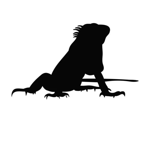 Silueta Del Vector Iguana — Vector de stock