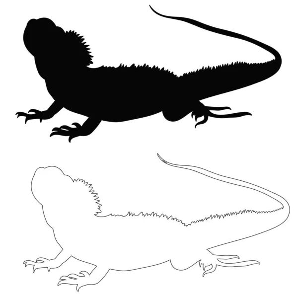 Silueta Del Vector Lagarto — Vector de stock