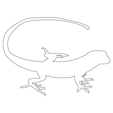 vektör, izole edilmiş beyaz arkaplan, simge