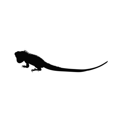 yalıtılmış siyah iguana silueti