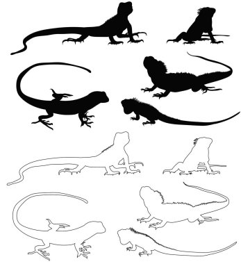  Büyük bir kertenkele silueti.