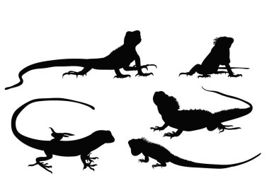 Bir jaguar setinin silueti