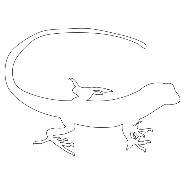 Vector Lagarto Contorno Aislado Sobre Fondo Blanco Icono — Vector de stock