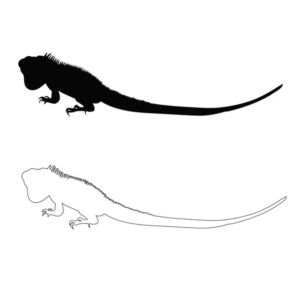 Vector Silueta Aislada Del Lagarto — Vector de stock