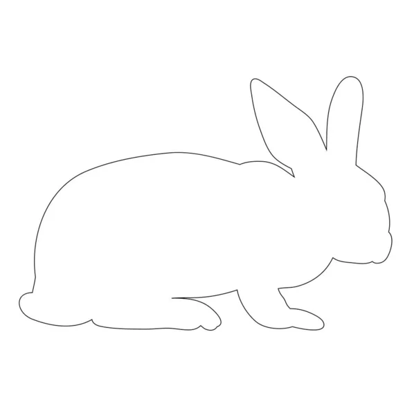 Bunny Outline White Background — Stock Vector