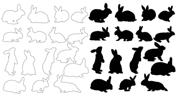 Isoliert Große Silhouette Eines Kaninchens — Stockvektor