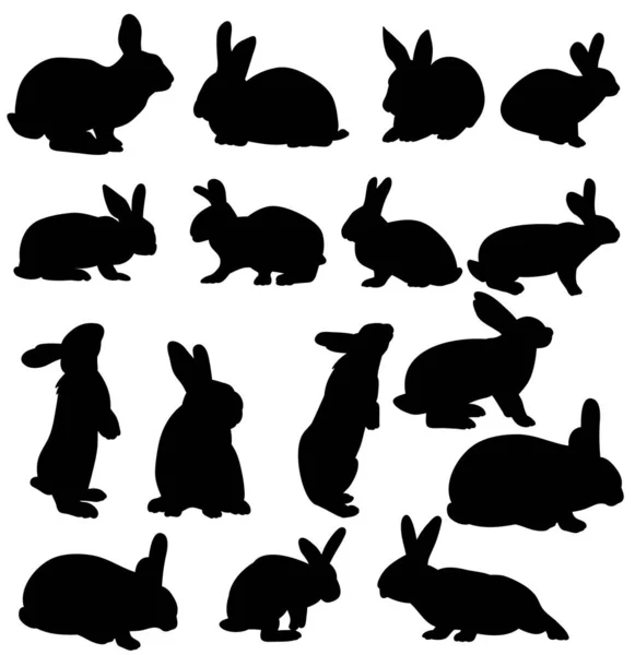 Vector Siluetas Aisladas Conejos — Vector de stock