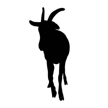  Beyaz arka planda izole edilmiş keçi silueti