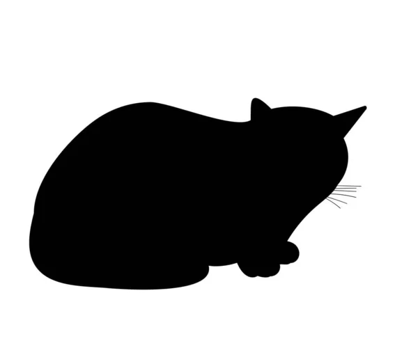 Vecteur Silhouette Isolée Chat — Image vectorielle